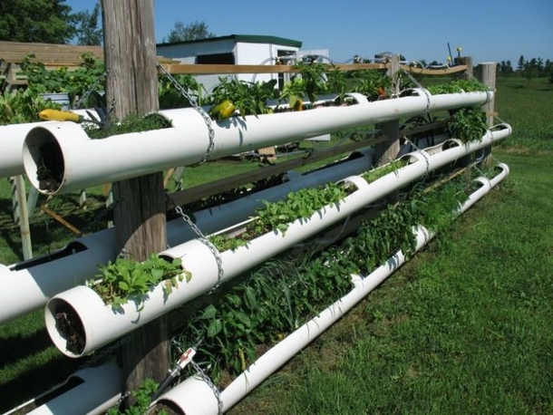 These PVC Pipe Ideas Will Look Amazing In Any Type Of Garden! - picture 9