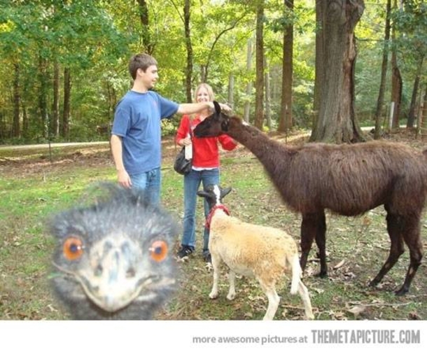 These Three Girls Were Too Busy Smiling For The Camera To Notice What One Of Their Boyfriends Saw. I Laughed So Hard I Thought I Would Die! - picture 10