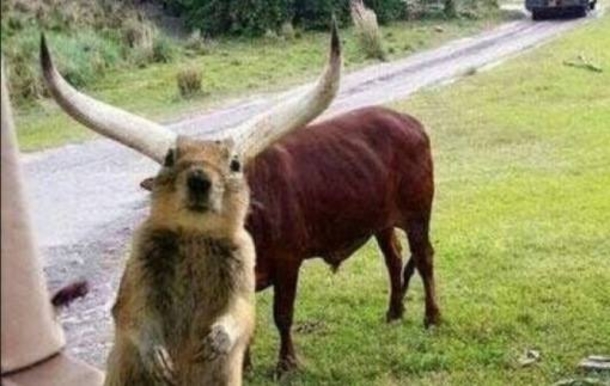 These Three Girls Were Too Busy Smiling For The Camera To Notice What One Of Their Boyfriends Saw. I Laughed So Hard I Thought I Would Die! - picture 11