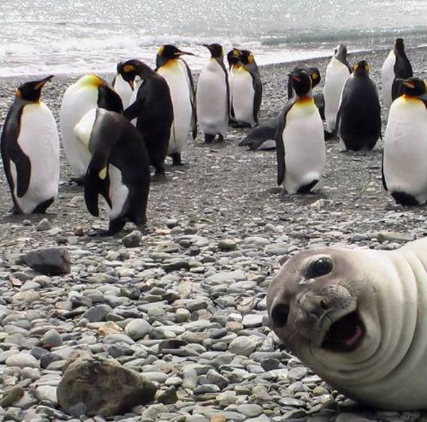 These Three Girls Were Too Busy Smiling For The Camera To Notice What One Of Their Boyfriends Saw. I Laughed So Hard I Thought I Would Die! - picture 12