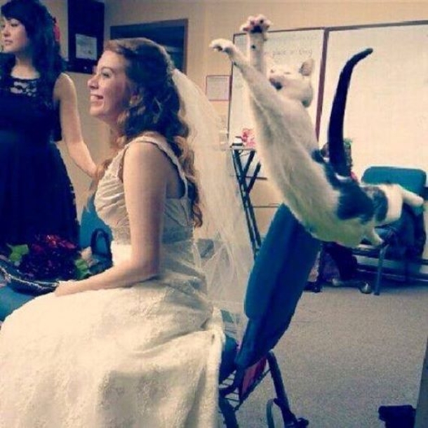 These Three Girls Were Too Busy Smiling For The Camera To Notice What One Of Their Boyfriends Saw. I Laughed So Hard I Thought I Would Die! - picture 14