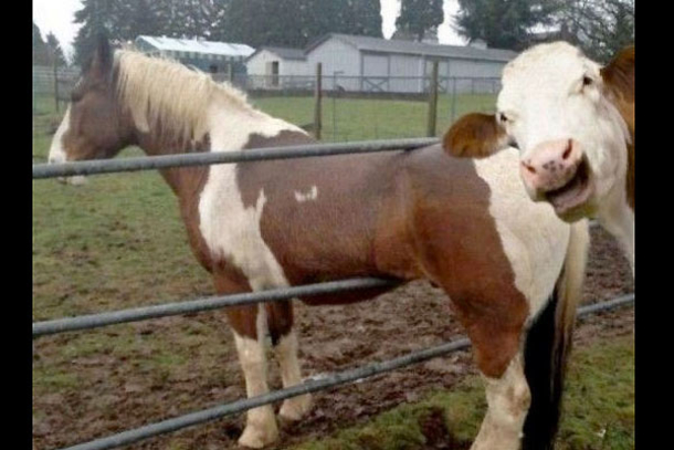 These Three Girls Were Too Busy Smiling For The Camera To Notice What One Of Their Boyfriends Saw. I Laughed So Hard I Thought I Would Die! - picture 18