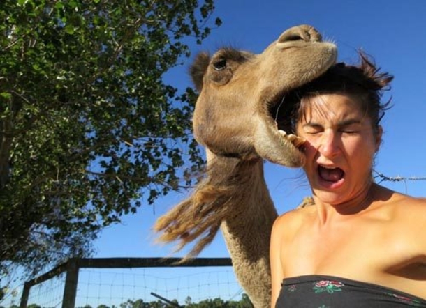 These Three Girls Were Too Busy Smiling For The Camera To Notice What One Of Their Boyfriends Saw. I Laughed So Hard I Thought I Would Die! - picture 8