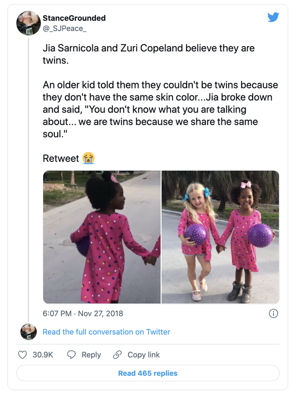 These two little girls insist they are twins and have the best response for anyone who disagrees - picture 2