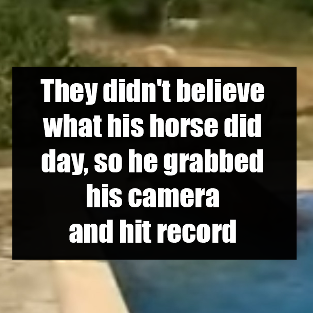 They didn't believe what his horse did day, so he grabbed his camera and hit record