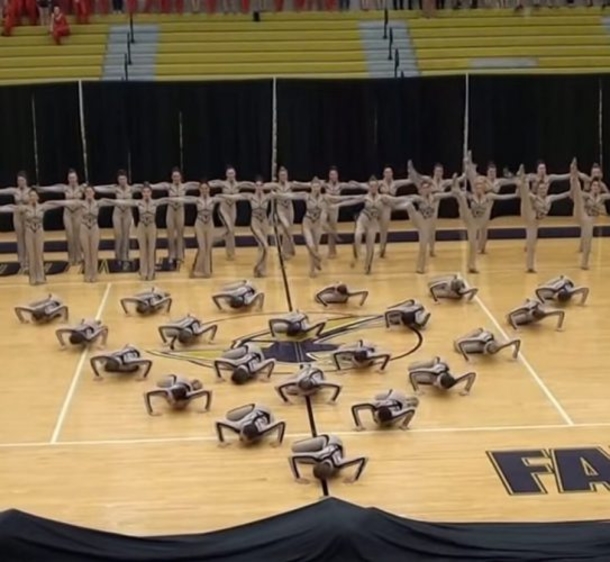 They Got Together And Formed A Circle, No One Expected What Happened Moments Later - picture 3