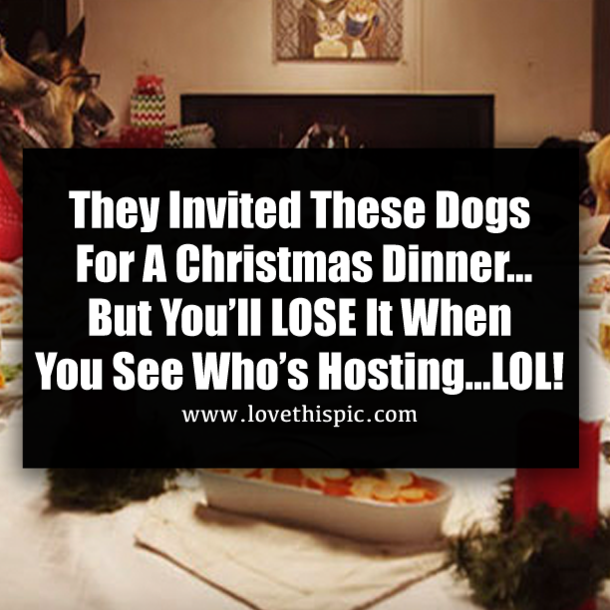 They Invited These Dogs For A Christmas Dinner…But You’ll LOSE It When You See Who’s Hosting…LOL!