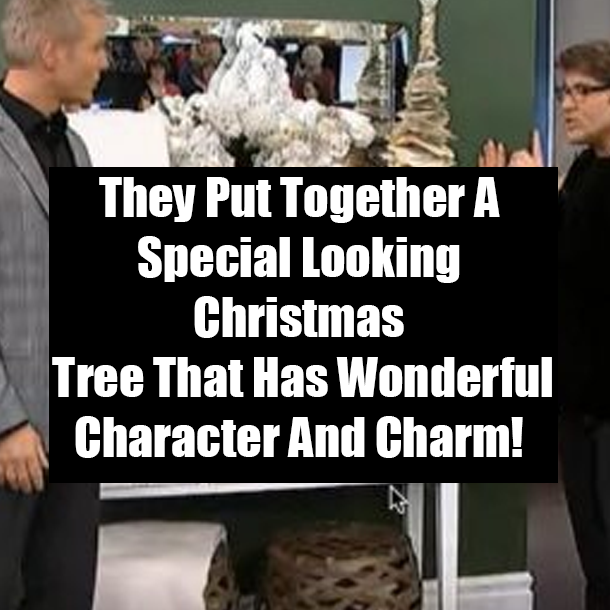 They Put Together A Special Looking Christmas Tree That Has Wonderful Character And Charm!
