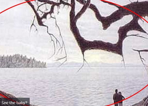 They Said There's A Baby In This Photo, I Was Dumbfounded. Then I Spotted It. Wow! Do You See It? - picture 4
