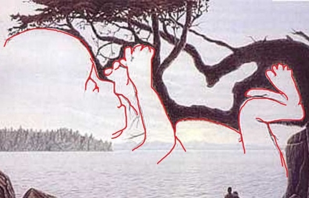 They Said There's A Baby In This Photo, I Was Dumbfounded. Then I Spotted It. Wow! Do You See It? - picture 6