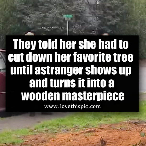 They told her she had to cut down her favorite tree until a stranger shows up and turns it into a wooden masterpiece