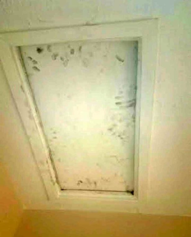 Things Start To Go Missing, Then Woman Notices Marks On The Attic Door - picture 4