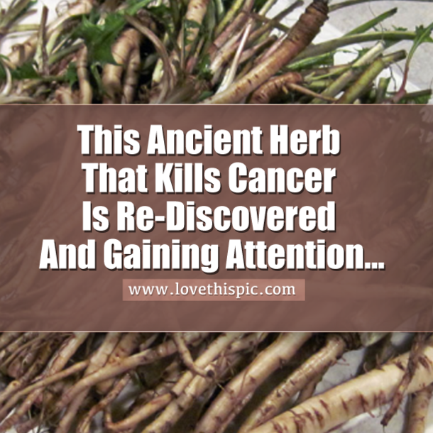 This Ancient Herb Kills Cancer Cells In 48 Hours And Is Much Better Than Chemotherapy...