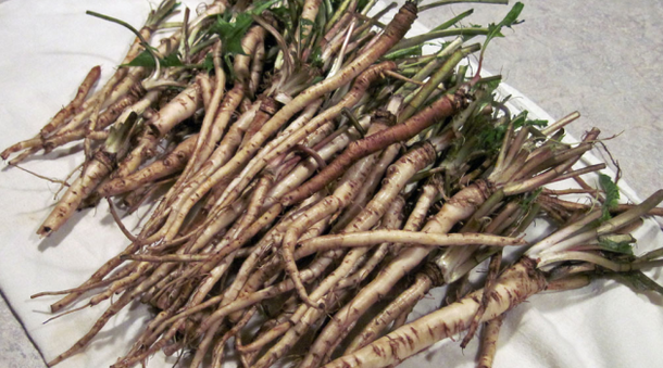 This Ancient Herb Kills Cancer Cells In 48 Hours And Is Much Better Than Chemotherapy... - picture 4