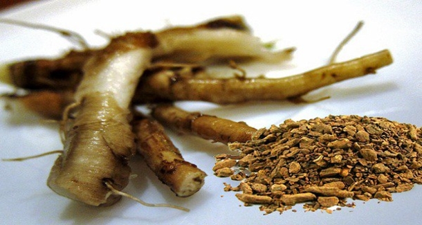 This Ancient Herb Kills Cancer Cells In 48 Hours And Is Much Better Than Chemotherapy... - picture 5