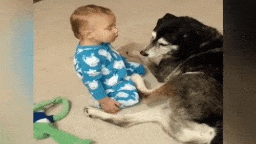 This Baby Can't Stay Awake – But The Dog’s Reaction Made This Mom Run For The Camera - picture 3