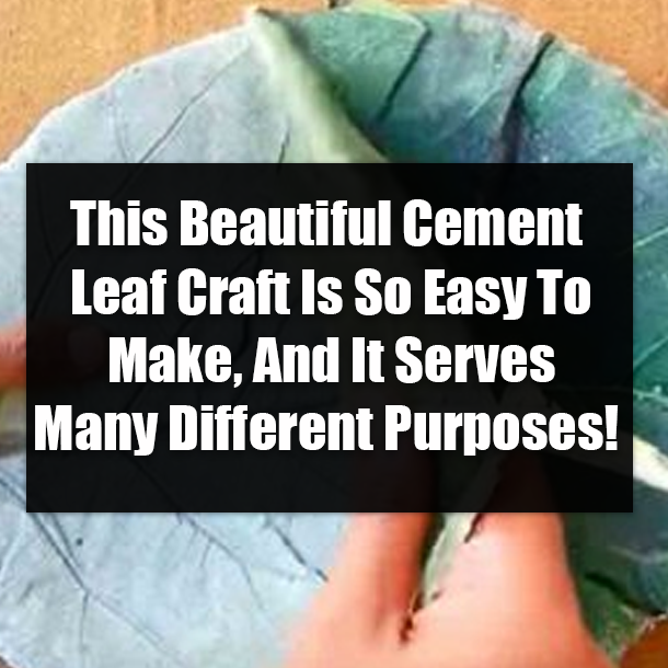 This Beautiful Cement Leaf Craft Is So Easy To Make, And It Serves Many Different Purposes!