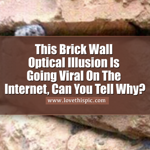 This Brick Wall Optical Illusion Is Going Viral On The Internet, Can You Tell Why?