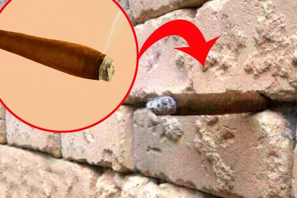 This Brick Wall Optical Illusion Is Going Viral On The Internet, Can You Tell Why? - picture 3