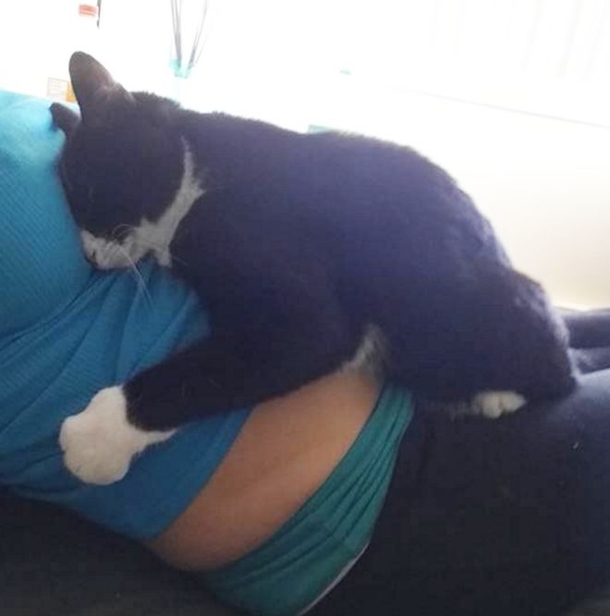 This Cat Loves Mother's Pregnant Belly. Now Wait Until The Baby Is Born... - picture 3