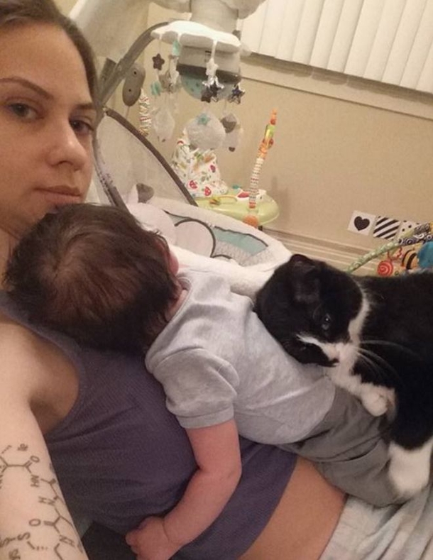 This Cat Loves Mother's Pregnant Belly. Now Wait Until The Baby Is Born... - picture 6