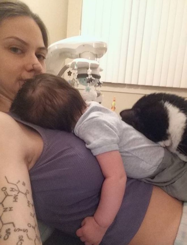This Cat Loves Mother's Pregnant Belly. Now Wait Until The Baby Is Born... - picture 7