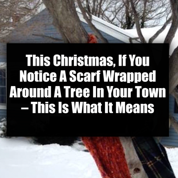 This Christmas, If You Notice A Scarf Wrapped Around A Tree In Your Town – This Is What It Means