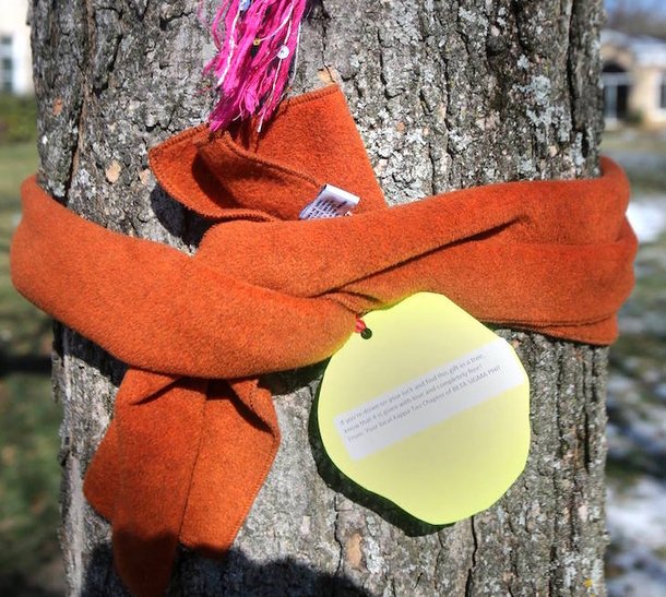 This Christmas, If You Notice A Scarf Wrapped Around A Tree In Your Town – This Is What It Means - picture 2
