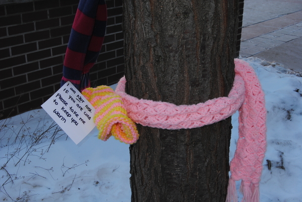 This Christmas, If You Notice A Scarf Wrapped Around A Tree In Your Town – This Is What It Means - picture 3