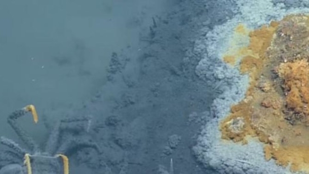 This Day Wasn't Supposed To Come, But Scientists Were Stunned After Finding This At The Bottom Of... - picture 2