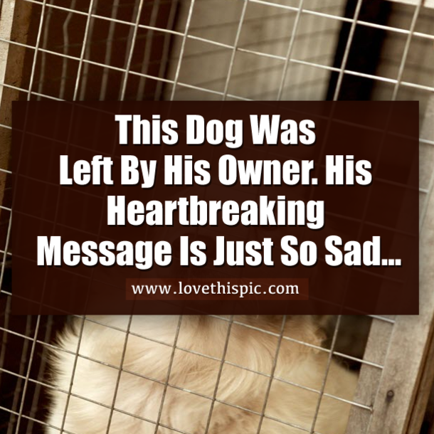 This Dog Was Left By His Owner And His Heartbreaking Message Is Just So Sad...