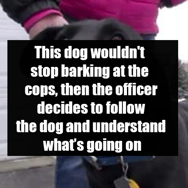 This dog wouldn't stop barking at the cops, then the officer decides to follow the dog and understand what’s going on