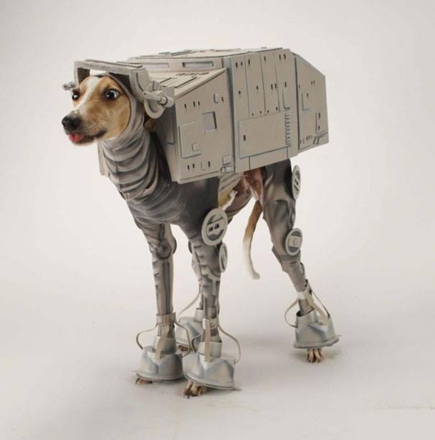 This Halloween, Up Your Game With These Hilariously Adorable Pet Costumes - picture 15