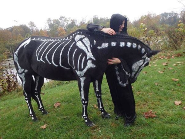 This Halloween, Up Your Game With These Hilariously Adorable Pet Costumes - picture 3