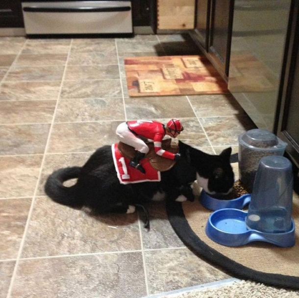 This Halloween, Up Your Game With These Hilariously Adorable Pet Costumes - picture 8