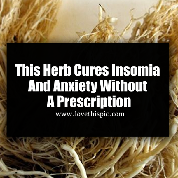This Herb Cures Insomia And Anxiety Without A Prescription