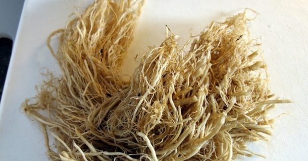 This Herb Cures Insomia And Anxiety Without A Prescription - picture 2