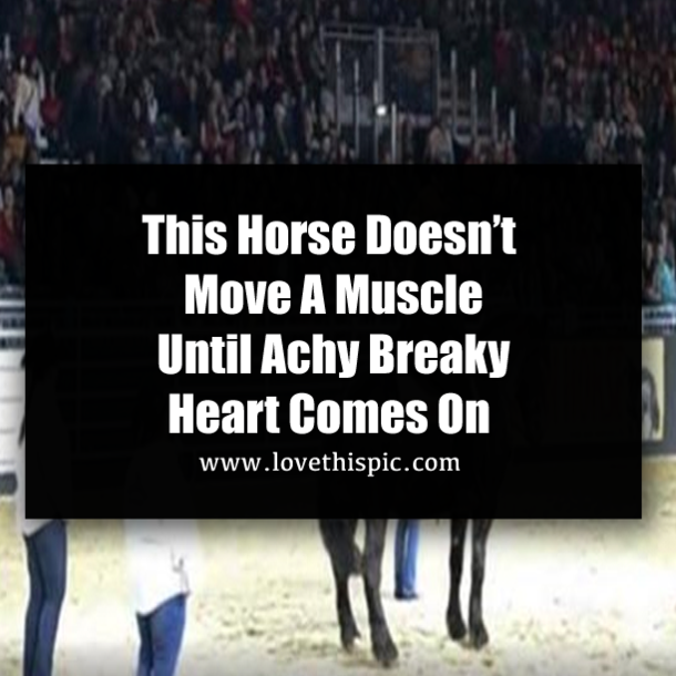 This Horse Doesn’t Move A Muscle Until Achy Breaky Heart Comes On