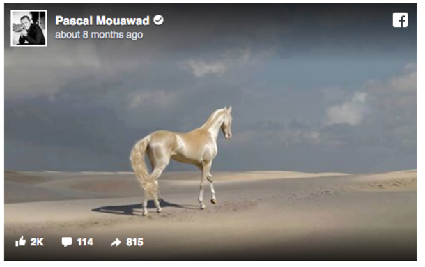 This Horse Is Considered To Be The Most Beautiful In The World. But When Experts Inspected Its Coat, They Were Stunned. - picture 3
