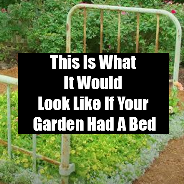 This Is What It Would Look Like If Your Garden Had A Bed