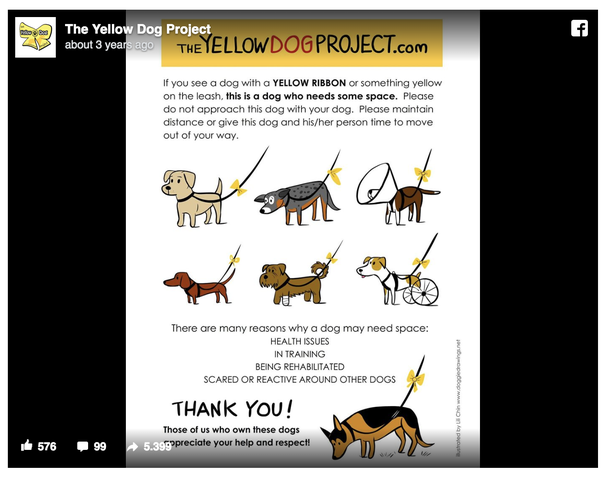 This Is What You Should Do If You Spot A Dog Wearing A Yellow Ribbon - picture 5