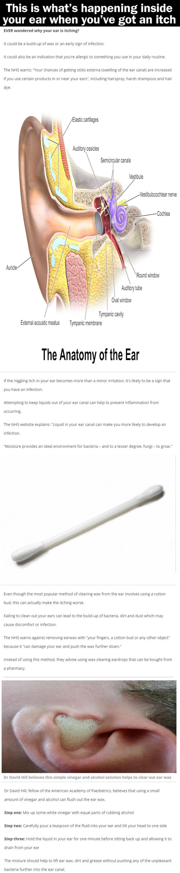 This is what’s happening inside your ear when you’ve got an itch
