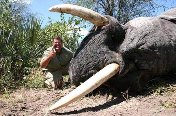THIS Is Why You Should Never Eat At Jimmy John’s Again! - picture 5