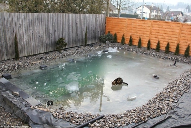 This Looks Like Just An Ordinary Pool But Wait Until You See When It Overflows. WOW! - picture 11