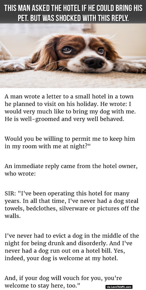 This Man Asked The Hotel If He Could Bring His Pet But Was Shocked With This Reply
