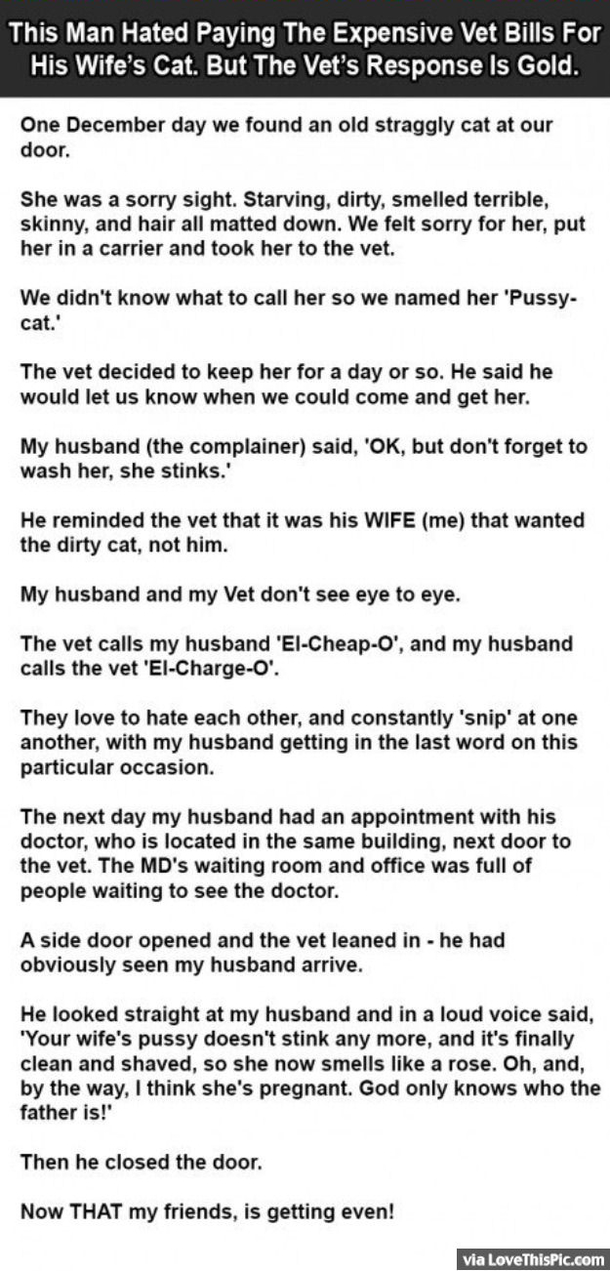 This Man Hated Paying The Expensive Vet Bills For His Wife's Cat But The Vet's Response Is Gold.