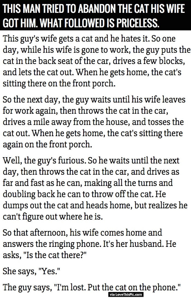 This Man Tried To Abandon The Cat His Wife Got Him But What Followed Is Priceless!