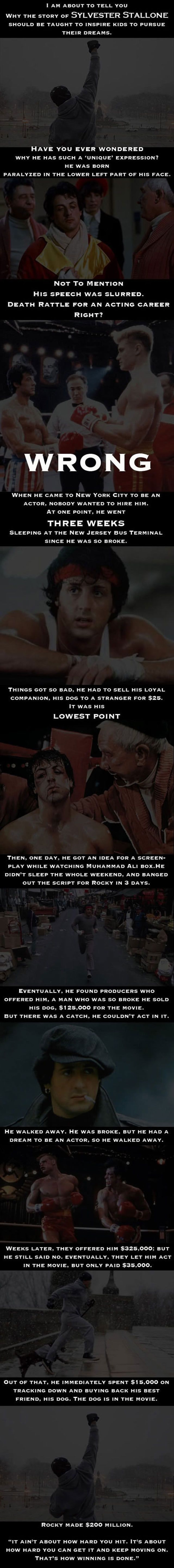 This Might Change The Way You Look At Sylvester Stallone - picture 2