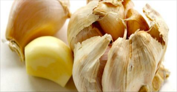 This Plant Kills 14 Types Of Cancer And 13 Different Infections! - picture 2