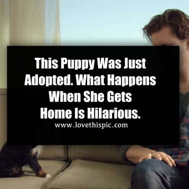 This Puppy Was Just Adopted. What Happens When She Gets Home Is Hilarious.